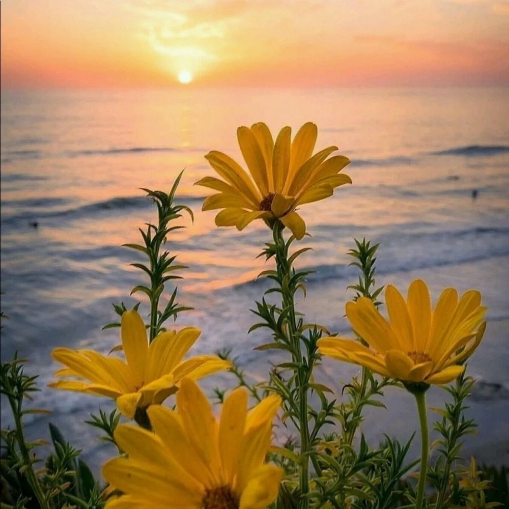 Meet your Posher, Dee! Welcome! ♥️ - Picture 5 of 7